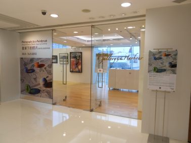 Photography by a Paintbrush exhibition at Gallery by the Harbour, 2013